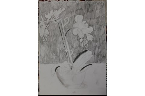 Zajęcia plastyczne dla dzieci 8 -12 lat