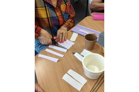 Warsztaty kreatywne dla seniorów - storczyki z krepiny