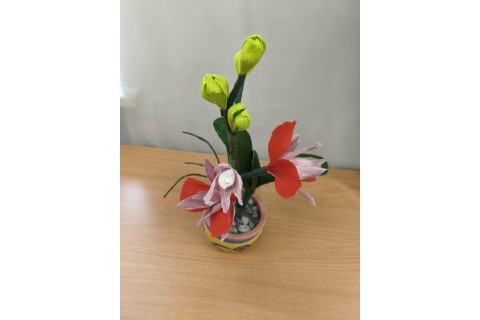 Warsztaty kreatywne dla seniorów - storczyki z krepiny