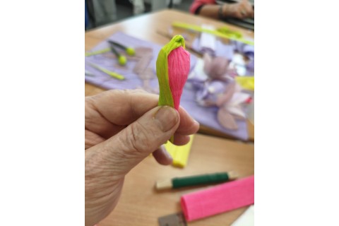 Warsztaty kreatywne dla seniorów - storczyki z krepiny