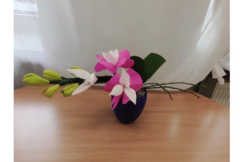 Warsztaty kreatywne dla seniorów - storczyki z krepiny