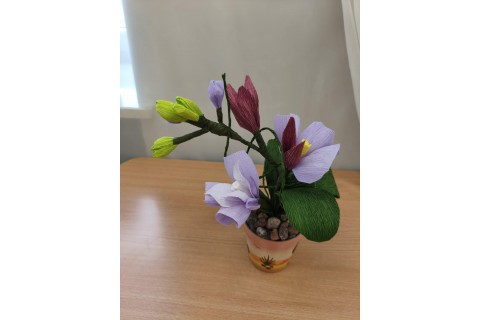 Warsztaty kreatywne dla seniorów - storczyki z krepiny