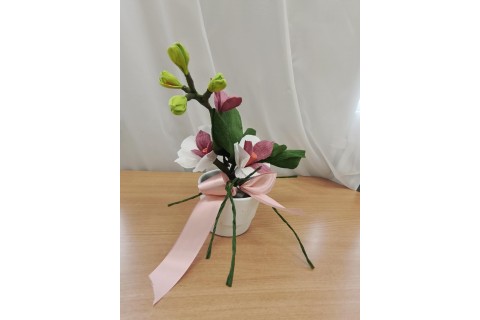 Warsztaty kreatywne dla seniorów - storczyki z krepiny