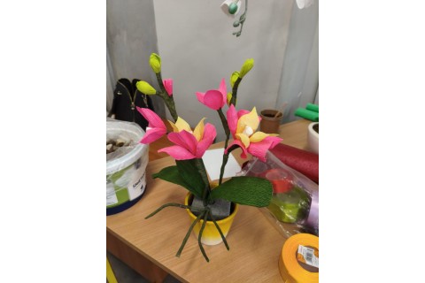 Warsztaty kreatywne dla seniorów - storczyki z krepiny