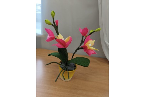 Warsztaty kreatywne dla seniorów - storczyki z krepiny