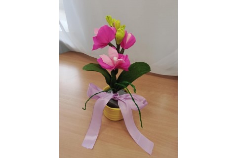 Warsztaty kreatywne dla seniorów - storczyki z krepiny