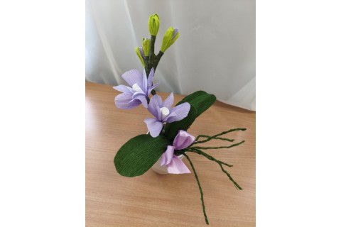 Warsztaty kreatywne dla seniorów - storczyki z krepiny