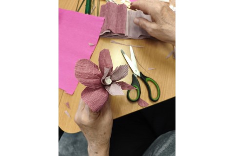 Warsztaty kreatywne dla seniorów - storczyki z krepiny