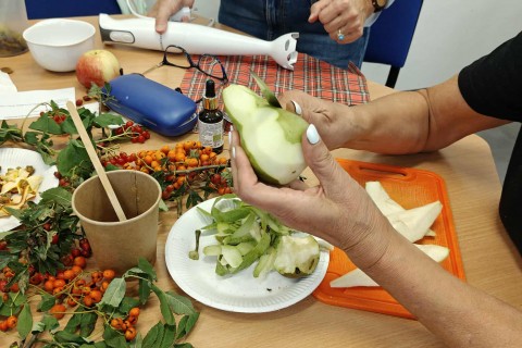 warsztaty zielarskie - „Owoce ziemi – dzikość i obfitość
