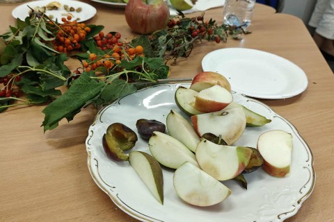 warsztaty zielarskie - „Owoce ziemi – dzikość i obfitość