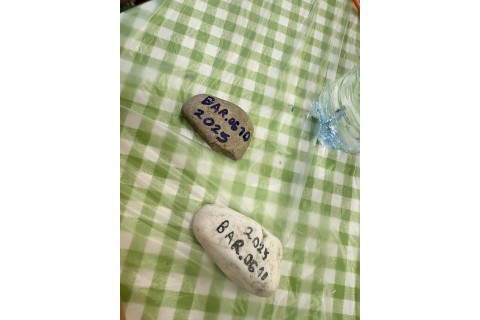 Warsztaty kreatywne dla dzieci 8+ lat - malowanie na kamieniach