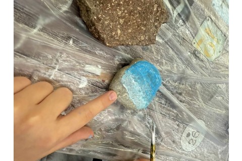 Warsztaty kreatywne dla dzieci 8+ lat - malowanie na kamieniach