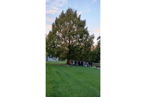 Spacer - Historia parków w centrum Białegostoku