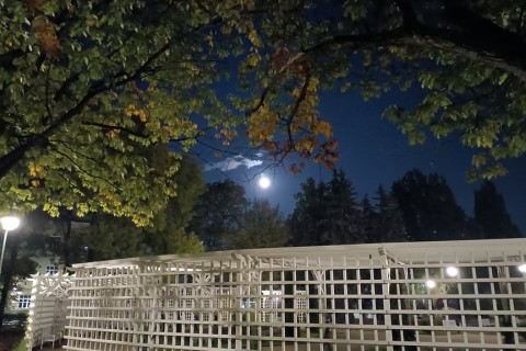 Spacer - Historia parków w centrum Białegostoku