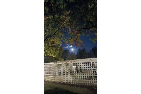 Spacer - Historia parków w centrum Białegostoku