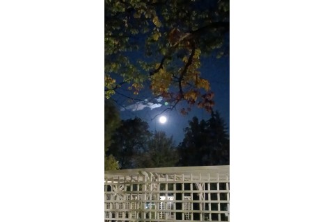 Spacer - Historia parków w centrum Białegostoku