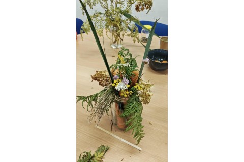 Warsztaty zielarskie dla seniorów - Korzenie, czyli tajemnica podziemnego świata