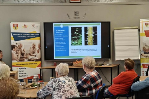 Warsztaty zielarskie dla seniorów - Korzenie, czyli tajemnica podziemnego świata