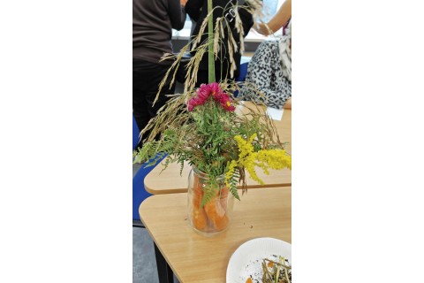 Warsztaty zielarskie dla seniorów - Korzenie, czyli tajemnica podziemnego świata