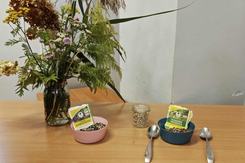 Warsztaty zielarskie dla seniorów - Korzenie, czyli tajemnica podziemnego świata