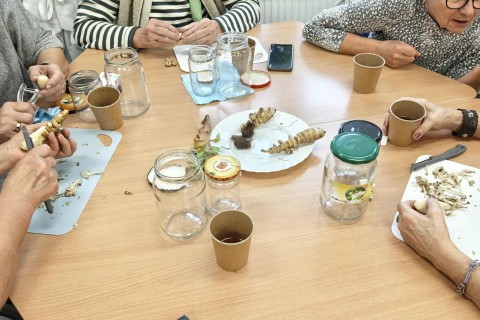 Warsztaty zielarskie dla seniorów - Korzenie, czyli tajemnica podziemnego świata