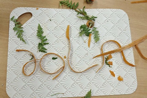 Warsztaty zielarskie dla seniorów - Korzenie, czyli tajemnica podziemnego świata