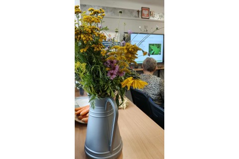 Warsztaty zielarskie dla seniorów - Korzenie, czyli tajemnica podziemnego świata