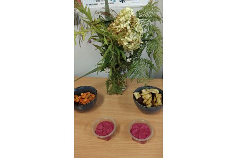 Warsztaty zielarskie dla seniorów - Korzenie, czyli tajemnica podziemnego świata