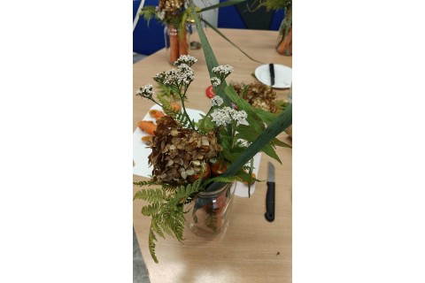 Warsztaty zielarskie dla seniorów - Korzenie, czyli tajemnica podziemnego świata