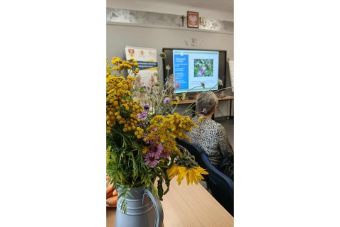 Warsztaty zielarskie dla seniorów - Korzenie, czyli tajemnica podziemnego świata