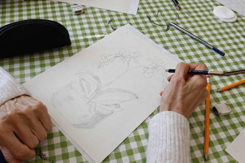 Warsztaty malarstwa dla seniorów - martwa natura ołówkiem