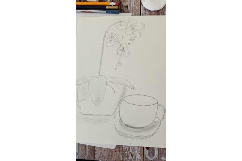 Warsztaty malarstwa dla seniorów - martwa natura ołówkiem