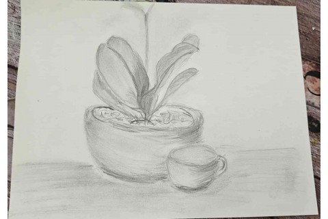 Warsztaty malarstwa dla seniorów - martwa natura ołówkiem