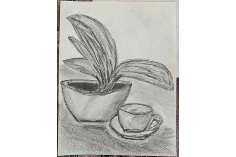 Warsztaty malarstwa dla seniorów - martwa natura ołówkiem