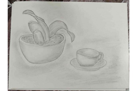 Warsztaty malarstwa dla seniorów - martwa natura ołówkiem