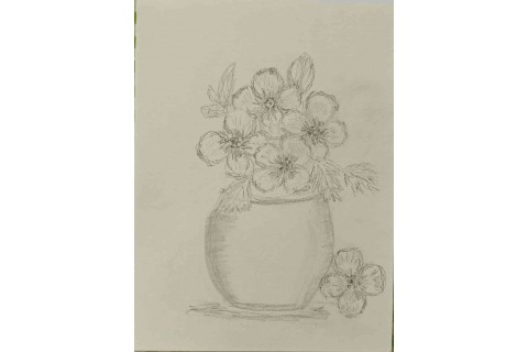 Warsztaty malarstwa dla seniorów - martwa natura ołówkiem