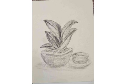 Warsztaty malarstwa dla seniorów - martwa natura ołówkiem