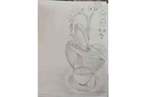 Warsztaty malarstwa dla seniorów - martwa natura ołówkiem