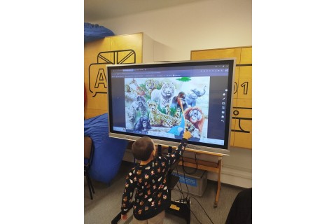 Zajęcia j. angielskiego dla dzieci 5-6 lat