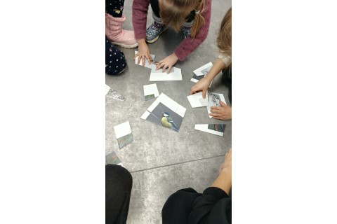 Warsztaty „Z Babcią, Dziadkiem i leśnikami - razem w trosce o ptaki”