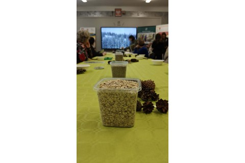 Warsztaty „Z Babcią, Dziadkiem i leśnikami - razem w trosce o ptaki”