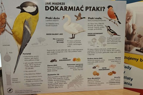 Warsztaty „Z Babcią, Dziadkiem i leśnikami - razem w trosce o ptaki”