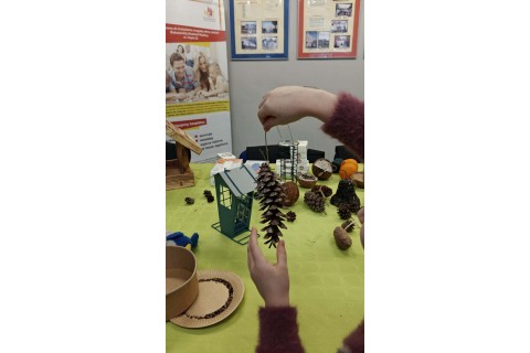 Warsztaty „Z Babcią, Dziadkiem i leśnikami - razem w trosce o ptaki”