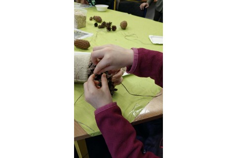 Warsztaty „Z Babcią, Dziadkiem i leśnikami - razem w trosce o ptaki”