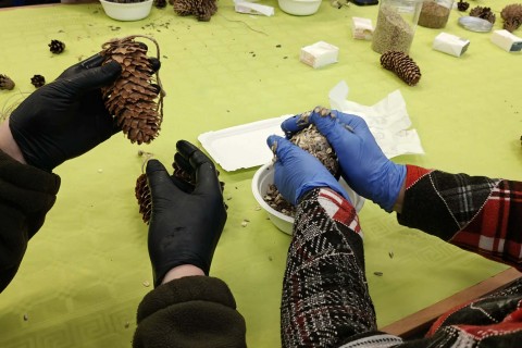 Warsztaty „Z Babcią, Dziadkiem i leśnikami - razem w trosce o ptaki”