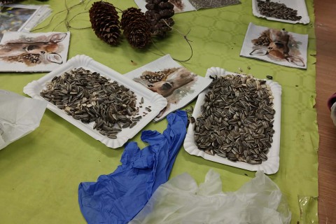 Warsztaty „Z Babcią, Dziadkiem i leśnikami - razem w trosce o ptaki”