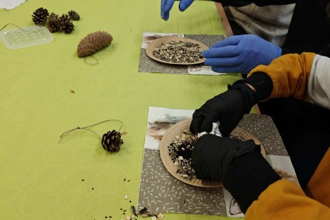 Warsztaty „Z Babcią, Dziadkiem i leśnikami - razem w trosce o ptaki”