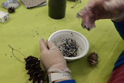 Warsztaty „Z Babcią, Dziadkiem i leśnikami - razem w trosce o ptaki”