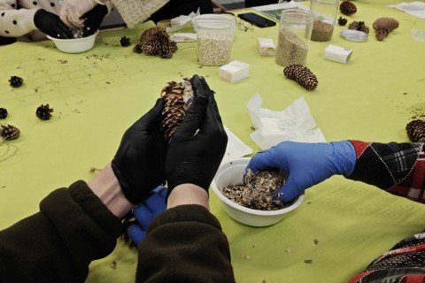 Warsztaty „Z Babcią, Dziadkiem i leśnikami - razem w trosce o ptaki”