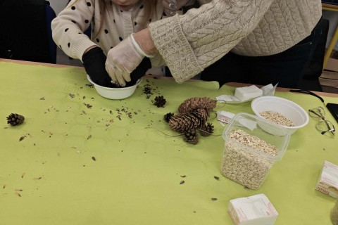 Warsztaty „Z Babcią, Dziadkiem i leśnikami - razem w trosce o ptaki”